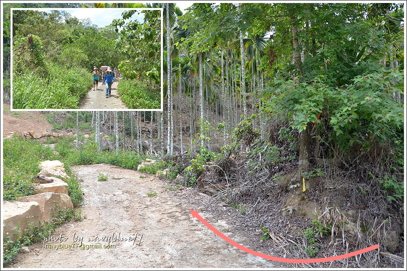 國姓眉冷山松柏崙步道03.JPG 國姓眉冷山松柏崙步道03.JPG