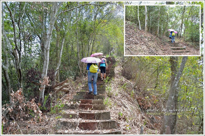 國姓眉冷山松柏崙步道04.JPG 國姓眉冷山松柏崙步道04.JPG