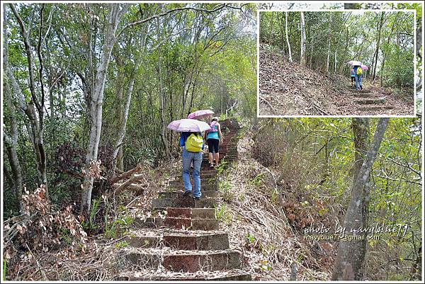 國姓眉冷山松柏崙步道04.JPG