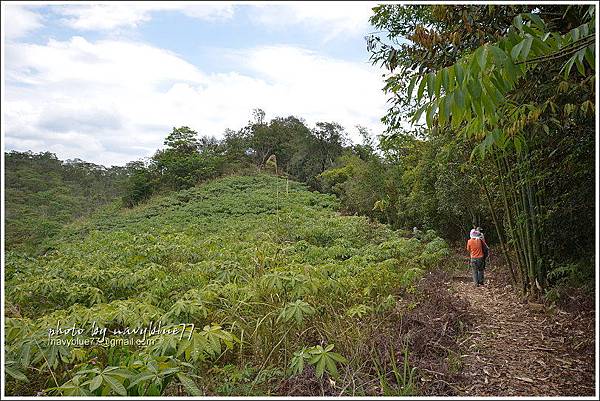 國姓眉冷山松柏崙步道13.JPG