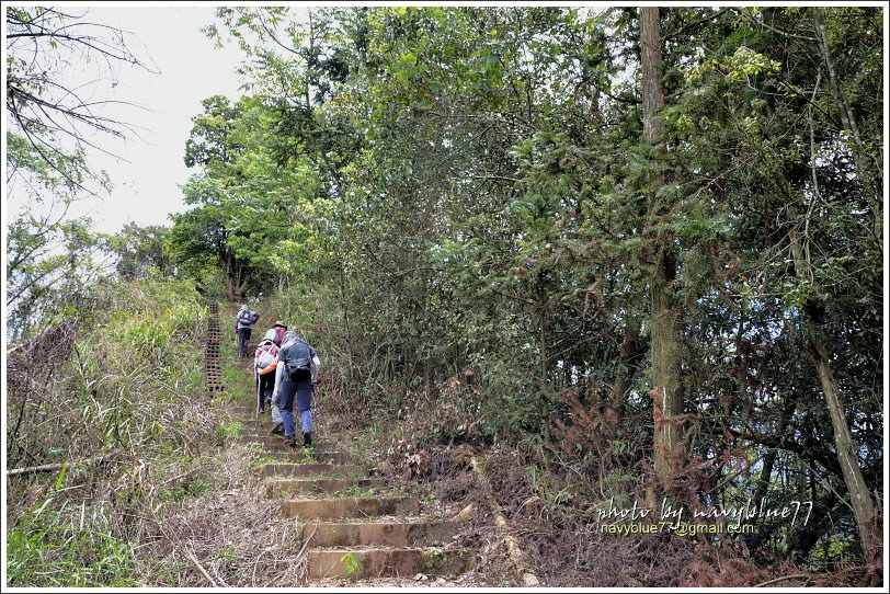 國姓眉冷山松柏崙步道14.JPG 國姓眉冷山松柏崙步道14.JPG
