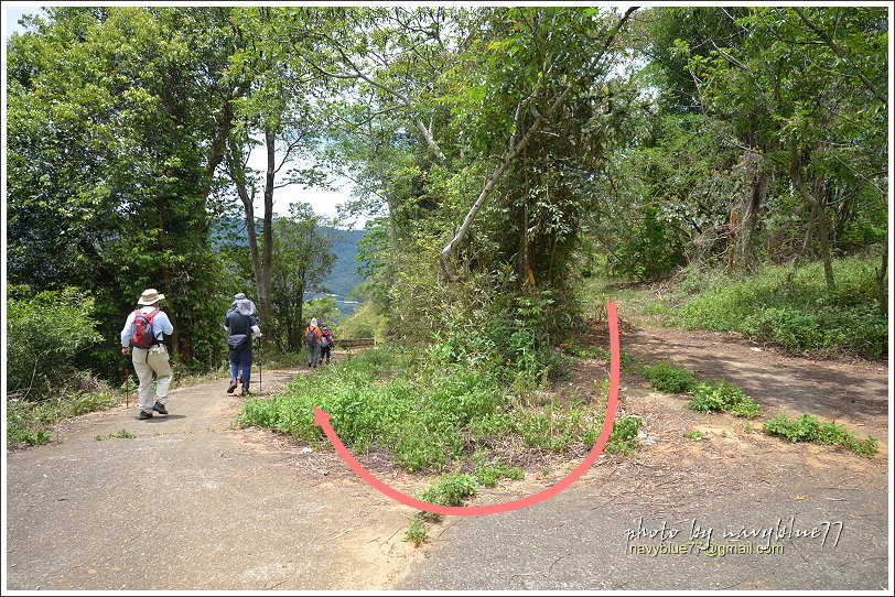 國姓眉冷山松柏崙步道15.JPG 國姓眉冷山松柏崙步道15.JPG