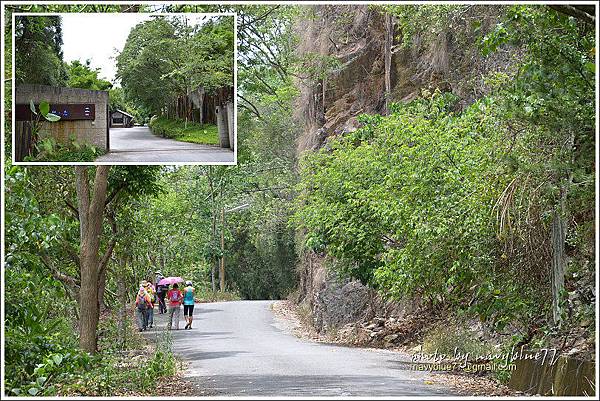 國姓眉冷山松柏崙步道18.JPG