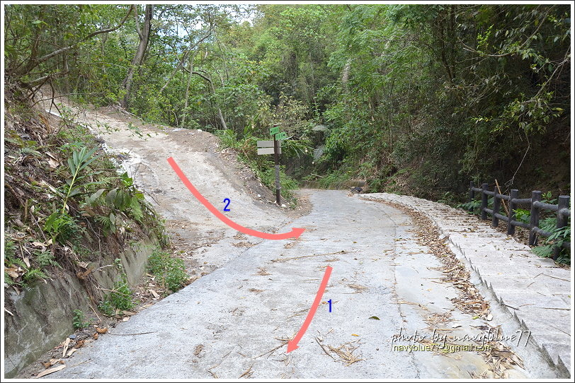國姓眉冷山松柏崙步道22.JPG 國姓眉冷山松柏崙步道22.JPG