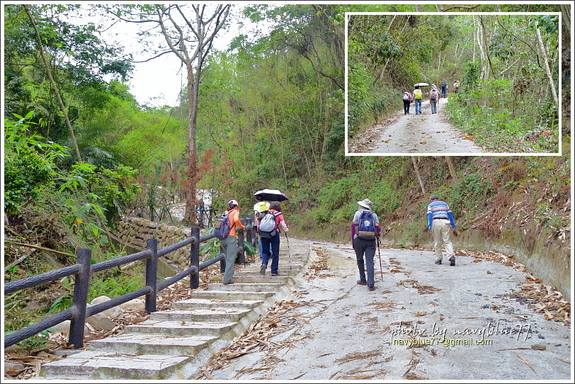 國姓眉冷山松柏崙步道23.JPG