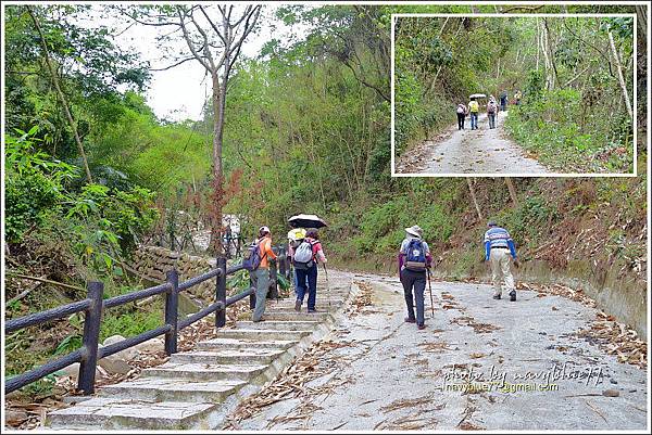 國姓眉冷山松柏崙步道23.JPG