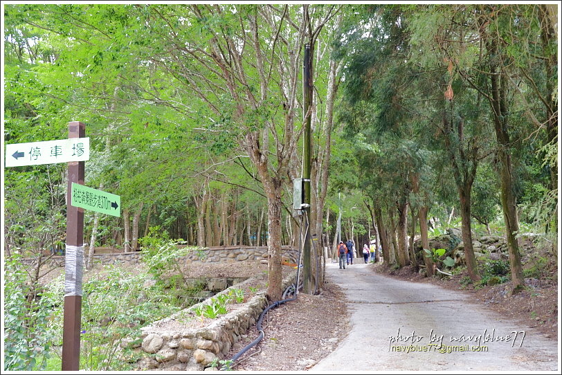 國姓眉冷山松柏崙步道21.JPG 國姓眉冷山松柏崙步道21.JPG