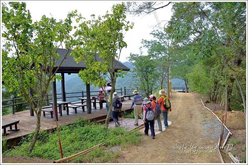 國姓眉冷山松柏崙步道25.JPG 國姓眉冷山松柏崙步道25.JPG