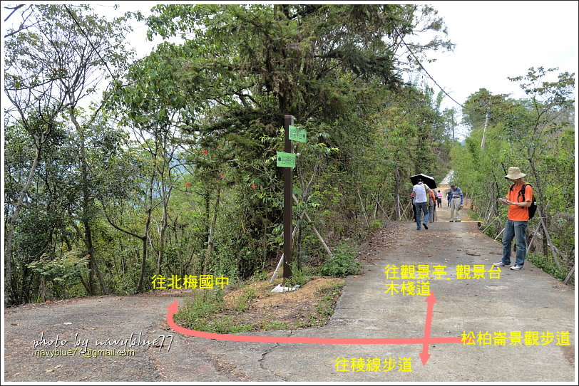 國姓眉冷山松柏崙步道24.JPG 國姓眉冷山松柏崙步道24.JPG
