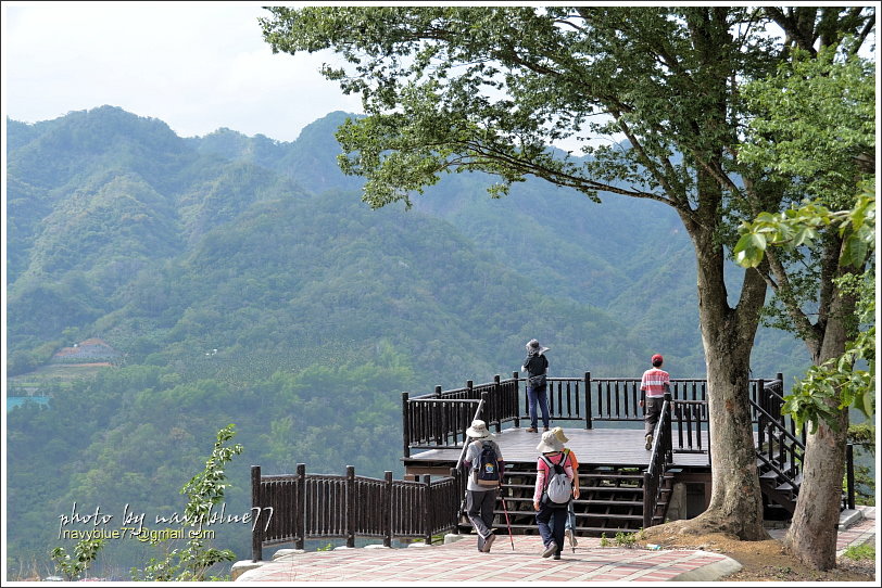 國姓眉冷山松柏崙步道26.JPG 國姓眉冷山松柏崙步道26.JPG