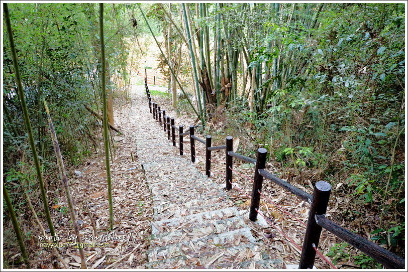 國姓眉冷山松柏崙步道29.JPG 國姓眉冷山松柏崙步道29.JPG