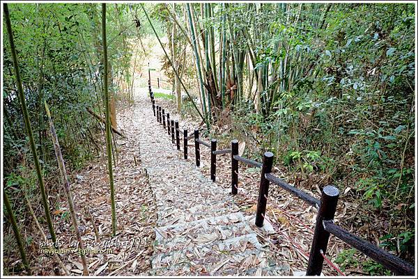 國姓眉冷山松柏崙步道29.JPG