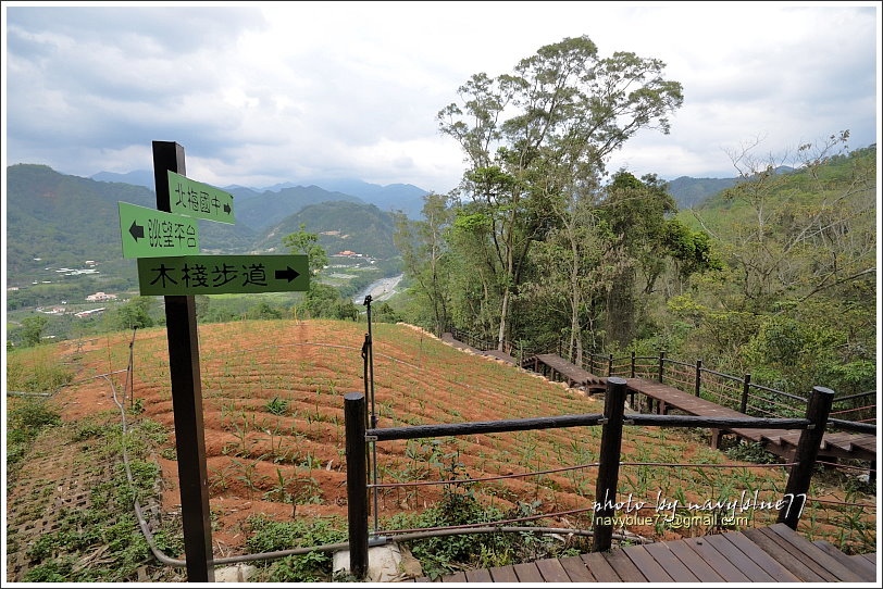 國姓眉冷山松柏崙步道30.JPG 國姓眉冷山松柏崙步道30.JPG