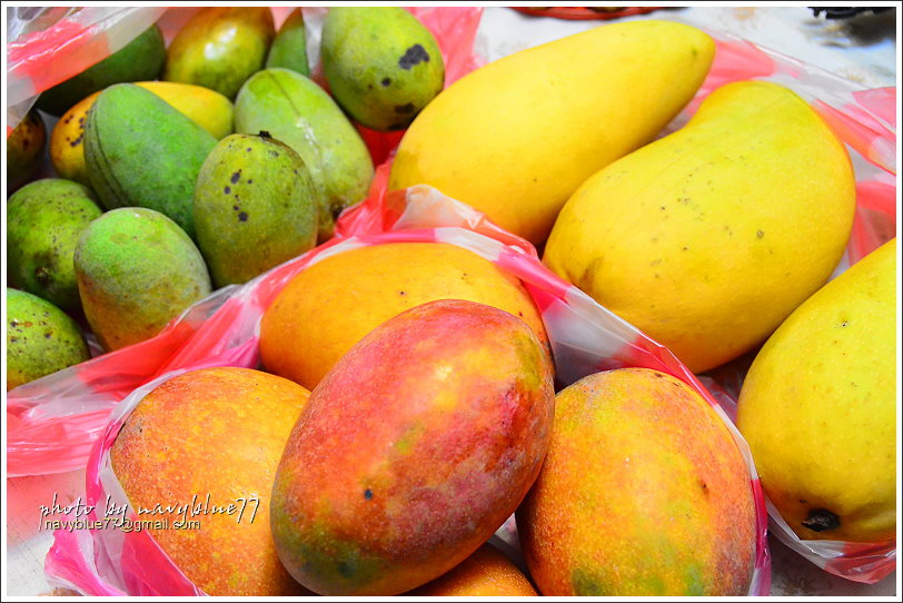 大內龍貓公車站府30.JPG 大內龍貓公車站府30.JPG