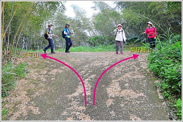 大尖山脈縱走04.JPG
