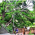 北投散散步15.JPG
