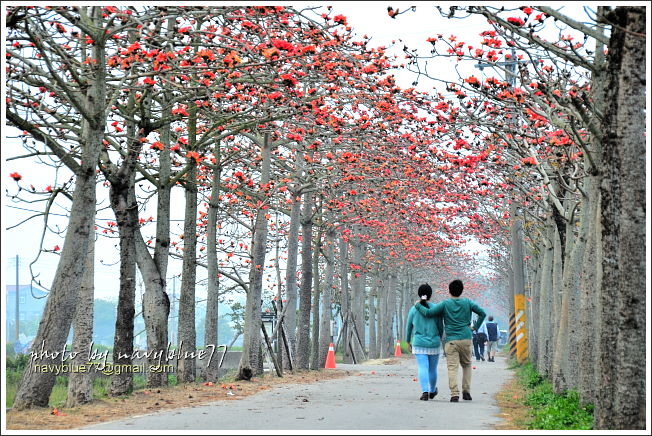 白河林初埤木棉道07.JPG