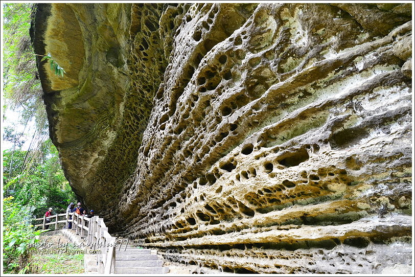 瑞里青年嶺步道22.JPG