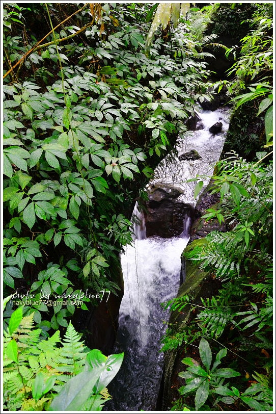 水濂洞水濂橋步道