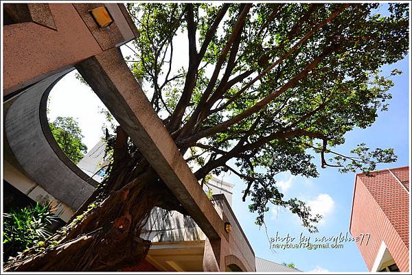 彰化1985史蹟館 (4).JPG