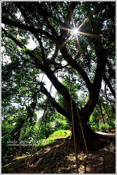 彰化文學步道 (6).JPG