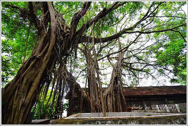 彰化藝術高中 (3).JPG