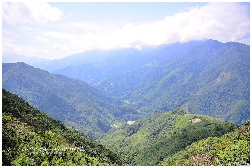 尖石鎮西堡巨木群步道01.JPG