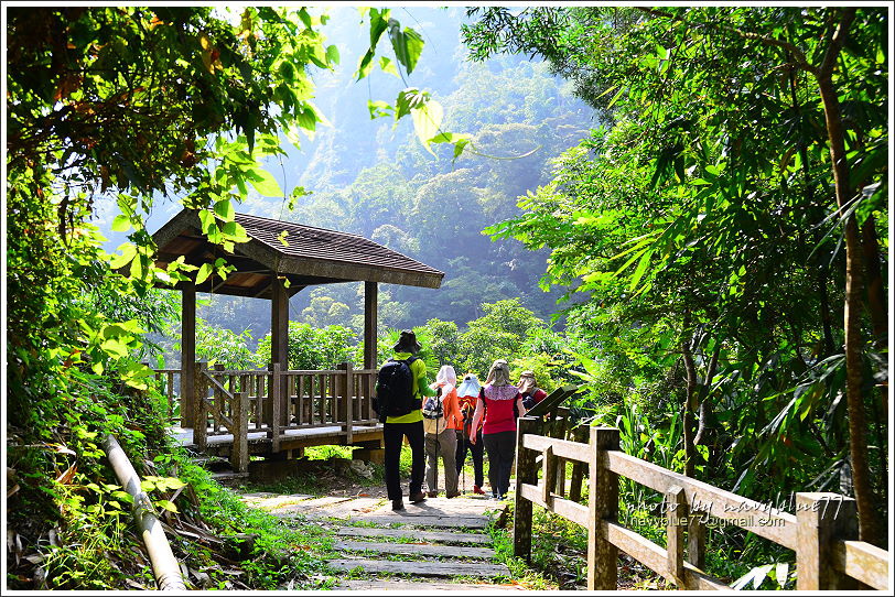 竹坑溪步道10.JPG