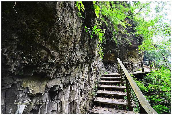 竹坑溪步道20.JPG