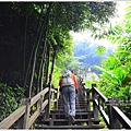 竹坑溪步道35.JPG