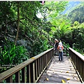 竹坑溪步道34.JPG