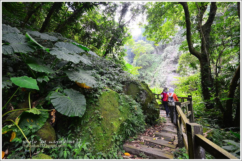 竹坑溪步道32.JPG