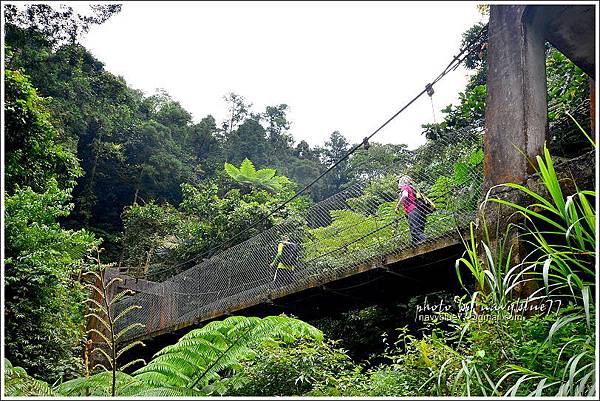 竹坑溪步道38.JPG