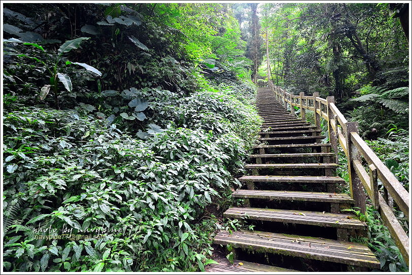 竹坑溪步道41.JPG