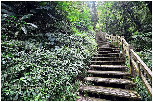 竹坑溪步道41.JPG