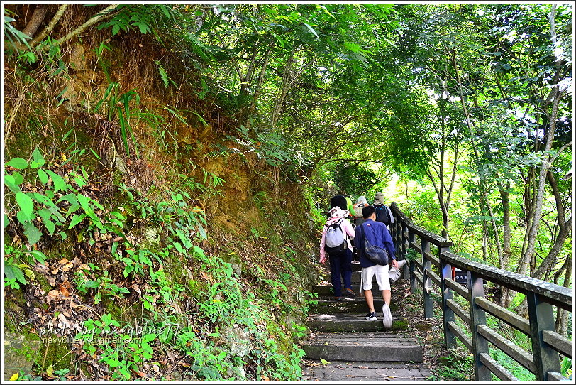 八通關越嶺道(東埔-雲龍段)06.JPG