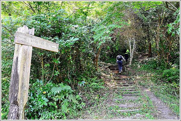 八通關越嶺道(東埔-雲龍段)10.JPG