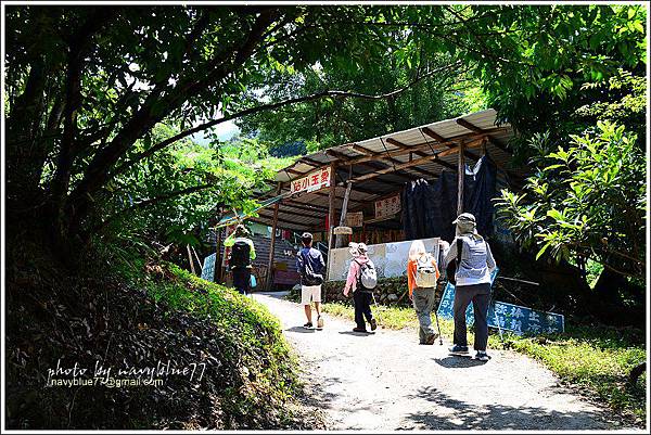 八通關越嶺道(東埔-雲龍段)13.JPG