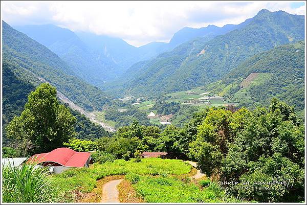 八通關越嶺道(東埔-雲龍段)14.JPG