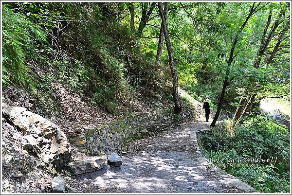 八通關越嶺道(東埔-雲龍段)15.JPG