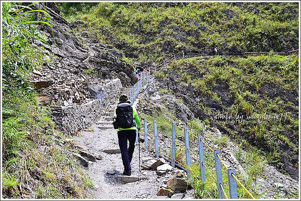 八通關越嶺道(東埔-雲龍段)17.JPG