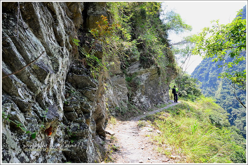 八通關越嶺道(東埔-雲龍段)24.JPG