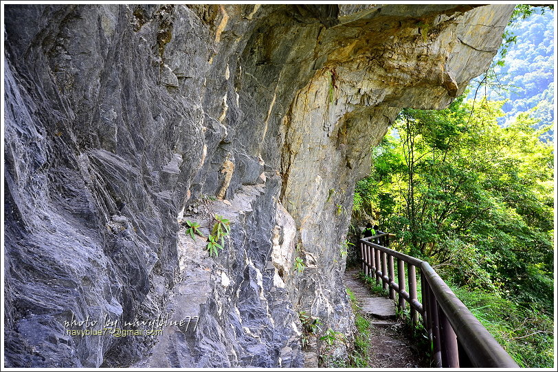 八通關越嶺道(東埔-雲龍段)26.JPG