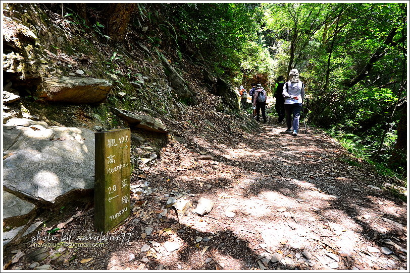 八通關越嶺道(東埔-雲龍段)28.JPG