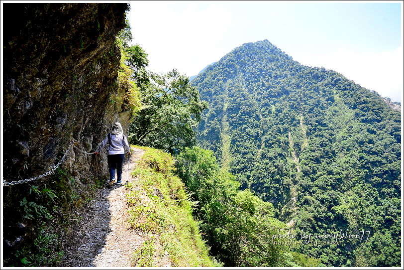 八通關越嶺道(東埔-雲龍段)31.JPG