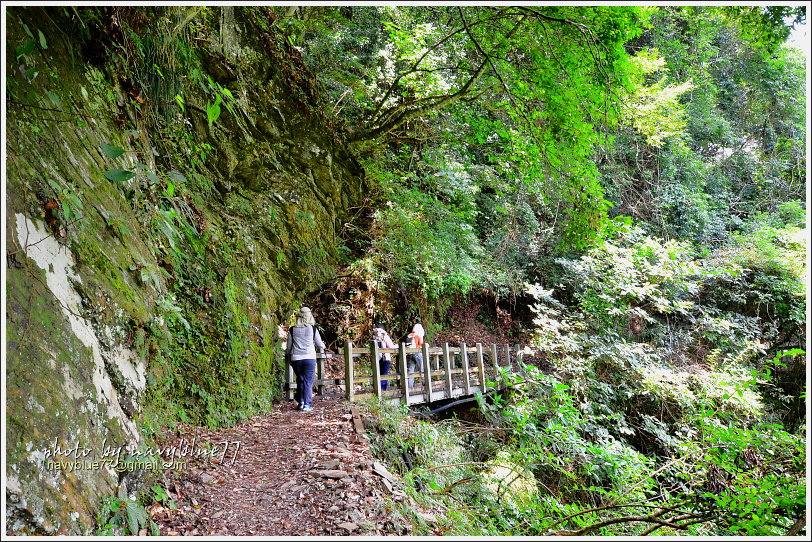 八通關越嶺道(東埔-雲龍段)34.JPG