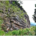 八通關越嶺道(東埔-雲龍段)39.JPG