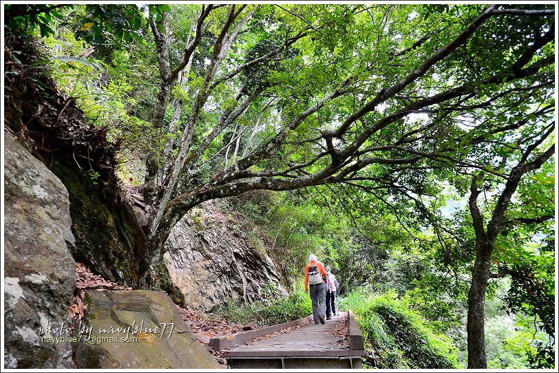 八通關越嶺道(東埔-雲龍段)41.JPG