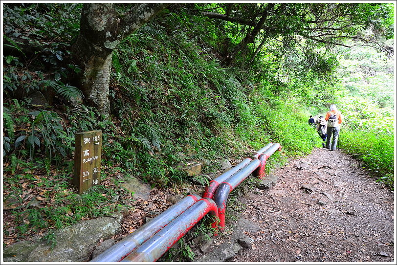 八通關越嶺道(東埔-雲龍段)44.JPG