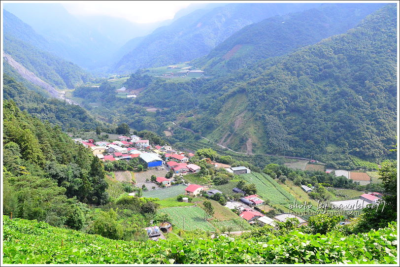 八通關越嶺道(東埔-雲龍段)73.JPG